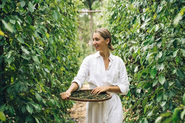 Artisans Ecologistes De France
